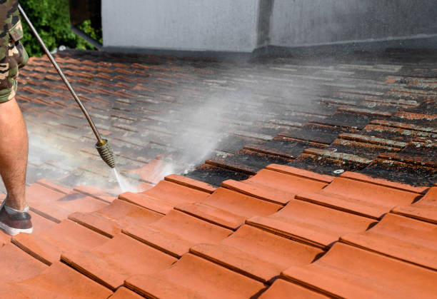 Best Roof Power Washing Services  in Van Alstyne, TX